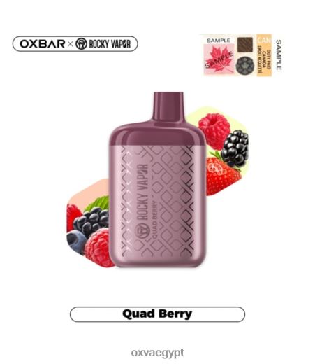 OXVA Egypt 84T06R31 | رباعية التوت OXVA OXBAR 4500